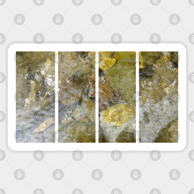 A static shot of a toad under the clear water of a mountain stream between rocks and stones; beautiful nature in a sunny day; no people around Sticker by fabbroni-art